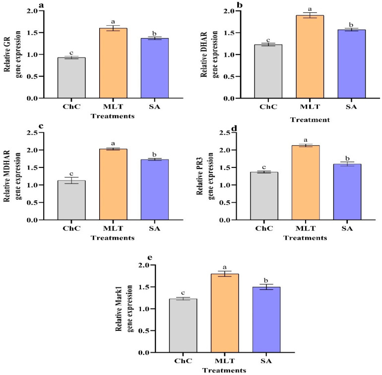 Figure 12