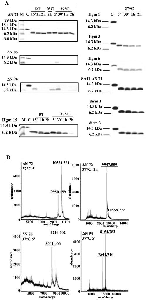 FIG. 8.