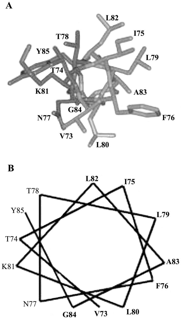 FIG. 4.