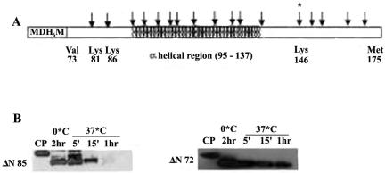 FIG. 9.