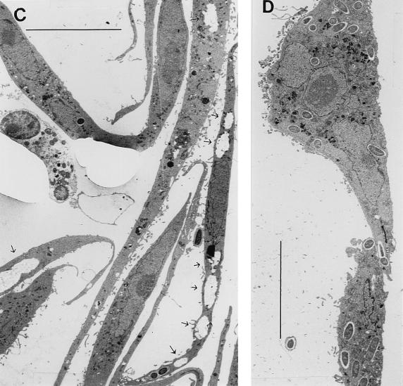 FIG. 6