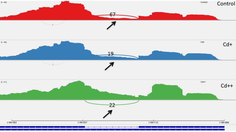 Figure 11