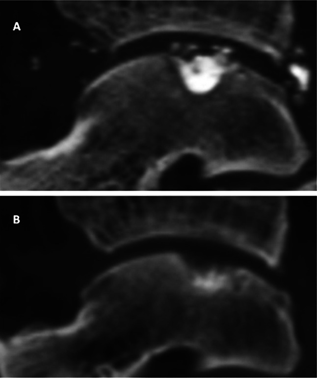 Fig. 5