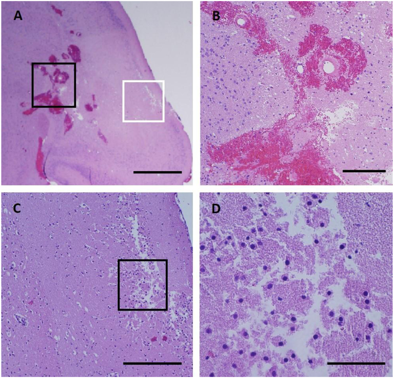 Figure 6: