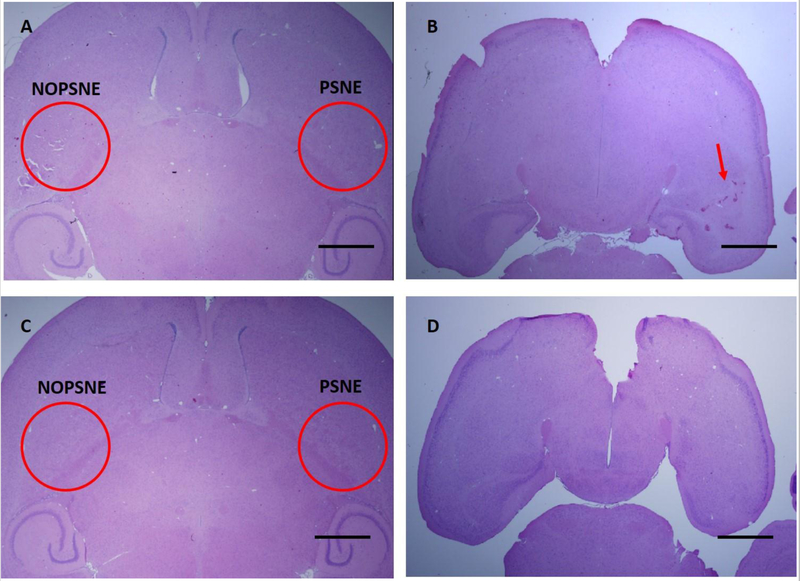 Figure 9: