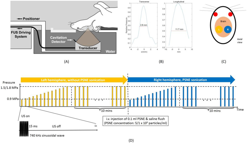 Figure 1: