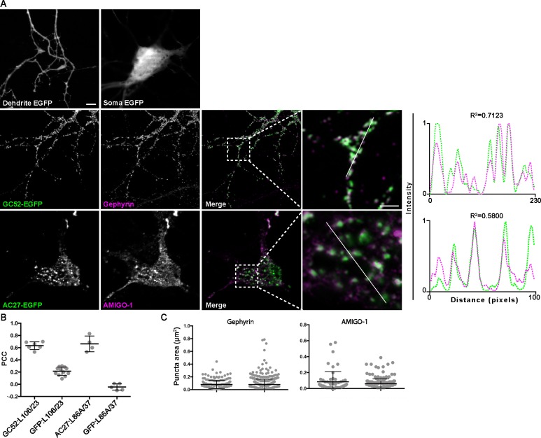 Figure 1—figure supplement 3.