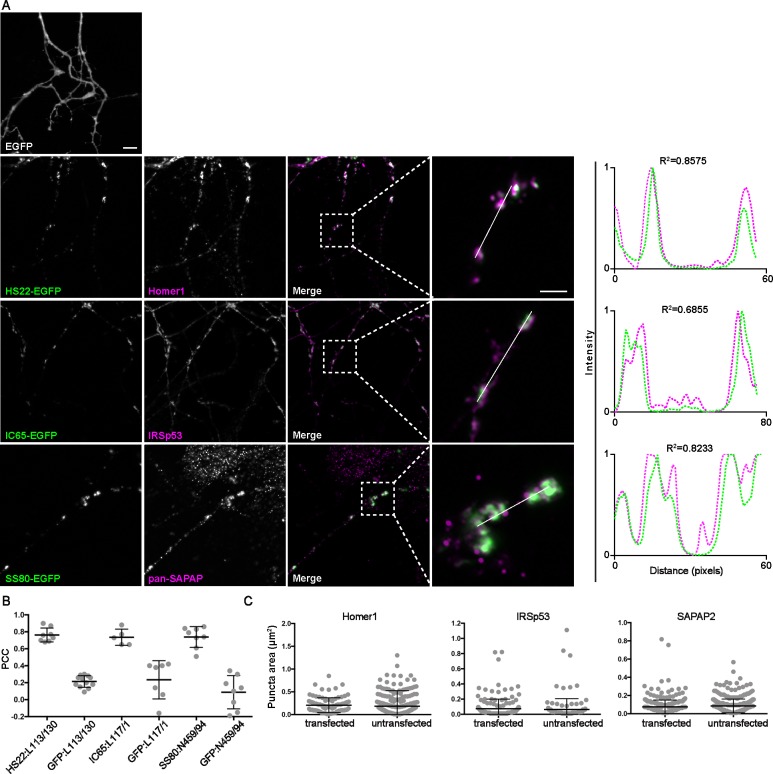 Figure 1—figure supplement 2.