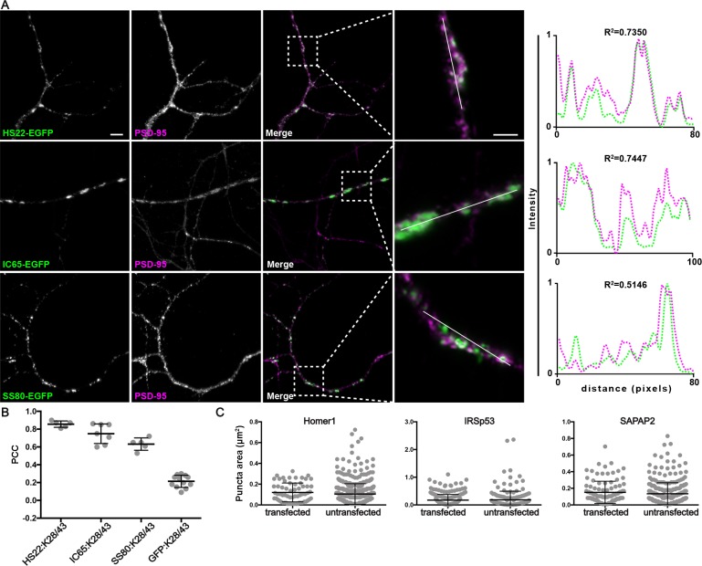 Figure 1—figure supplement 4.