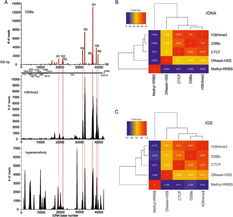 Figure 3