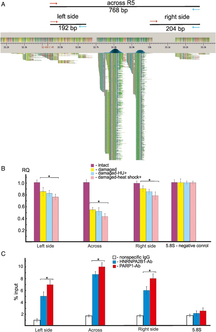 Figure 4