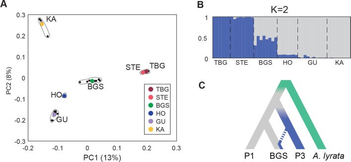 Fig 4