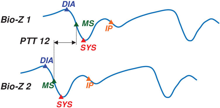 Fig. 4.