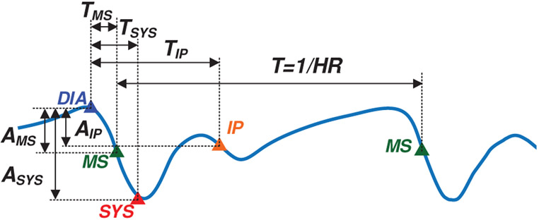 Fig. 5.