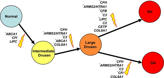 Figure 12