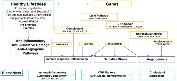 Figure 15