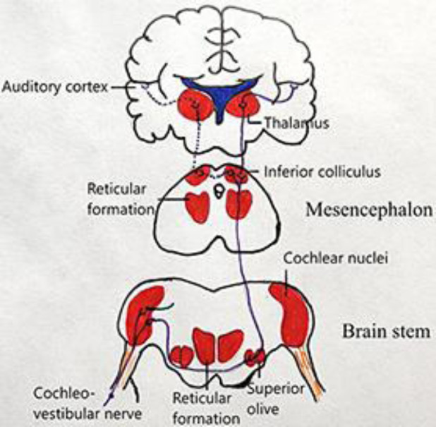 Fig. 2