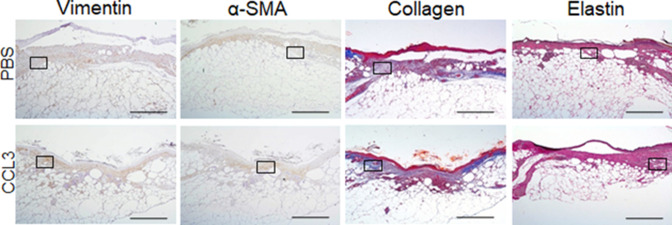 Figure 6—figure supplement 1.