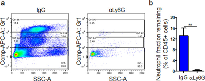 Figure 4—figure supplement 1.