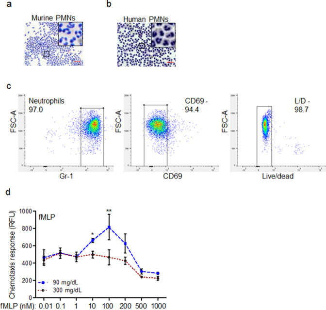 Figure 2—figure supplement 1.