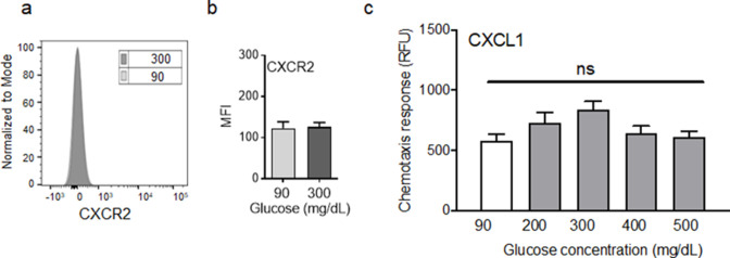 Figure 3—figure supplement 1.