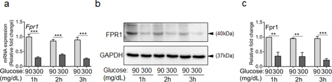 Figure 2—figure supplement 2.