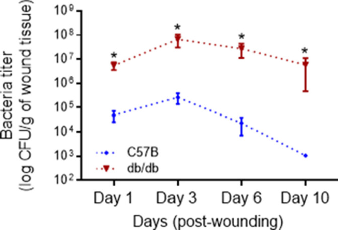 Figure 1—figure supplement 1.