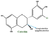 graphic file with name molecules-28-01533-i001.jpg