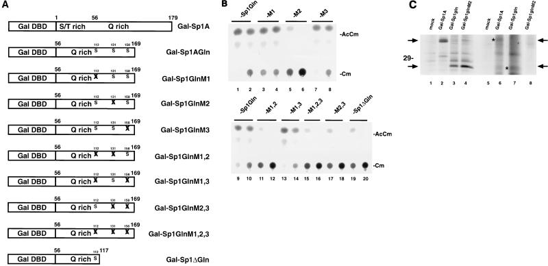 FIG. 8