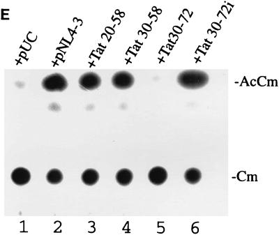 FIG. 10