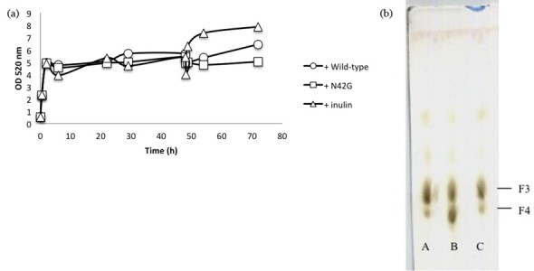 Fig. 4