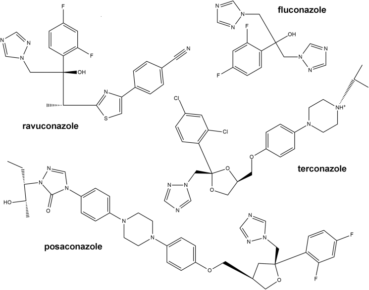 Fig. 1