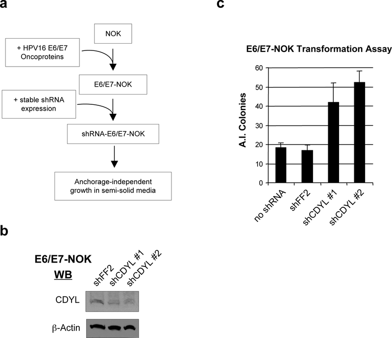 Figure 4: