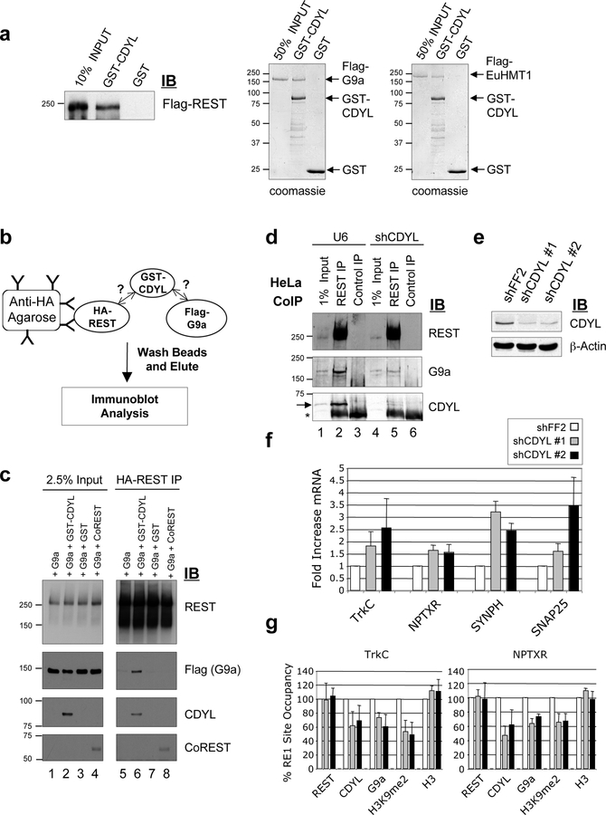 Figure 2: