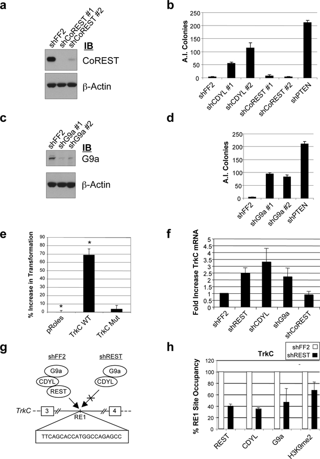 Figure 3: