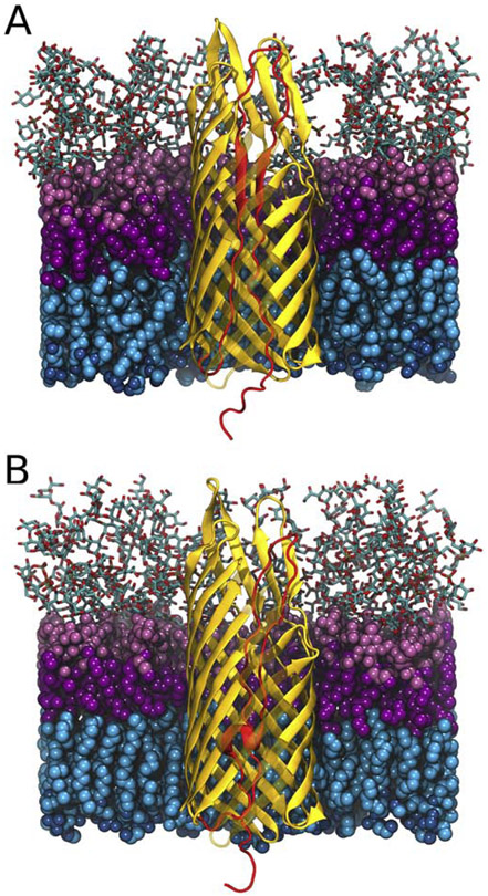 Figure 4: