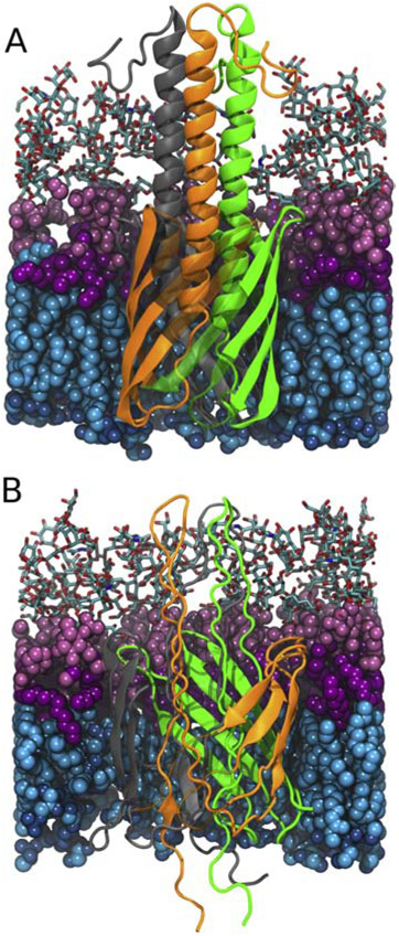 Figure 1: