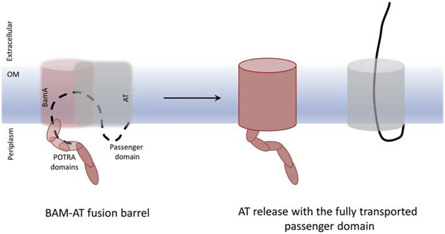 Figure 7: