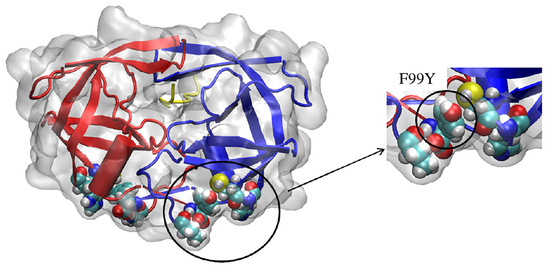 Figure 5: