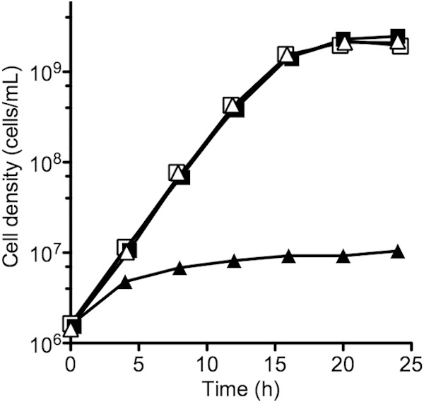 FIG 1