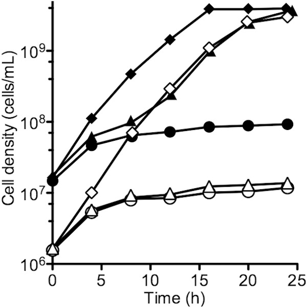 FIG 5