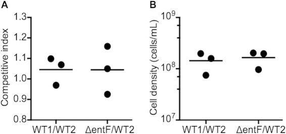 FIG 2