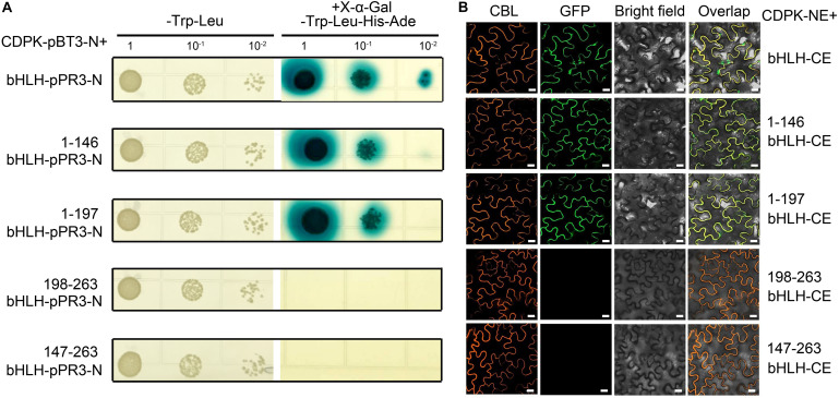 FIGURE 4