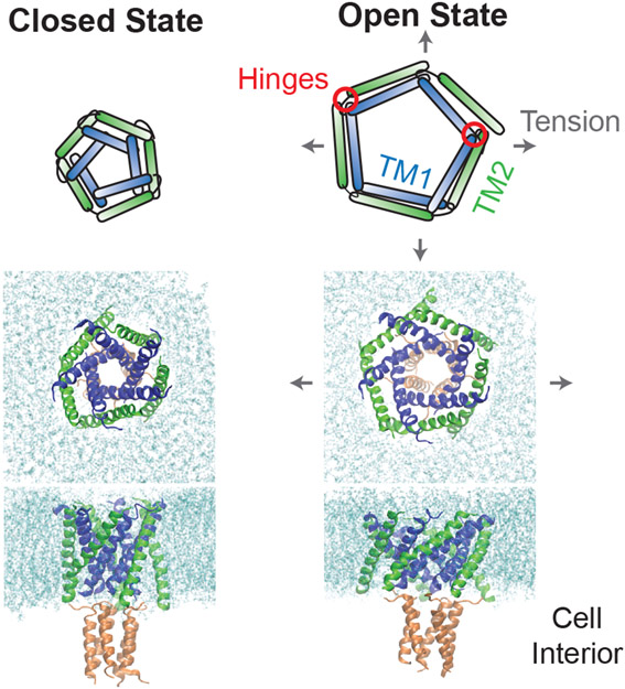 Figure 6: