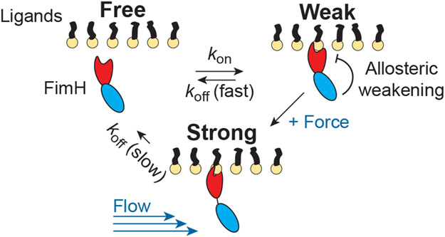 Figure 10: