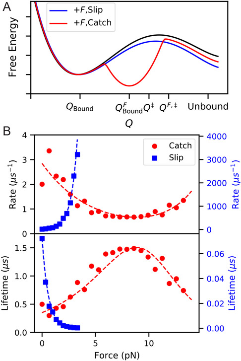 Figure 9: