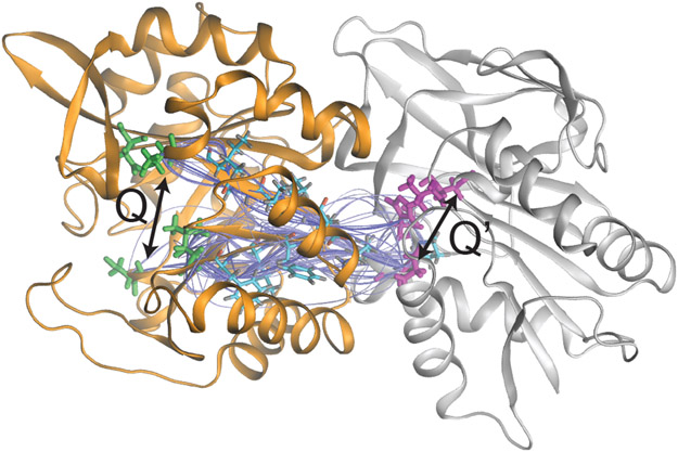 Figure 4: