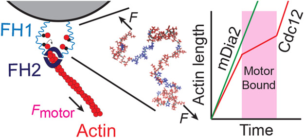 Figure 7: