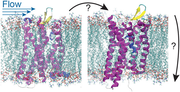 Figure 5: