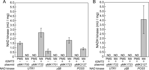 FIGURE 4.